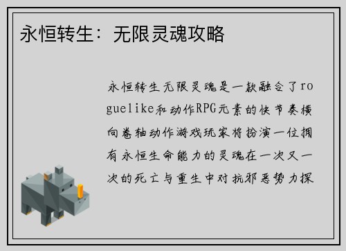 永恒转生：无限灵魂攻略